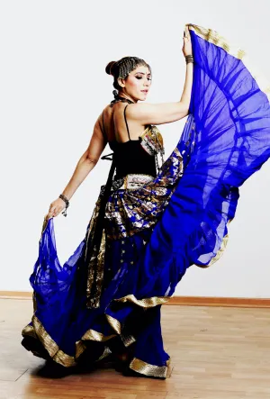 Blue banarsi skirt with gold border WLS