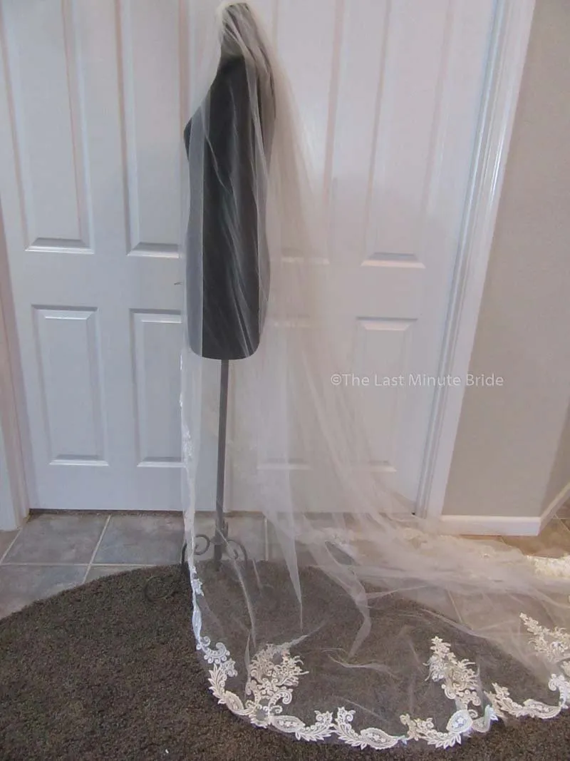 Cathedral Length Veil Style: First Look