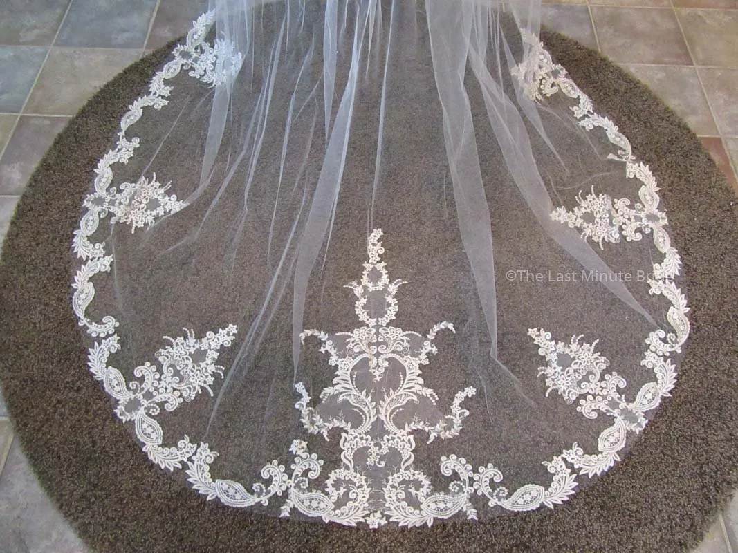 Cathedral Length Veil Style: First Look