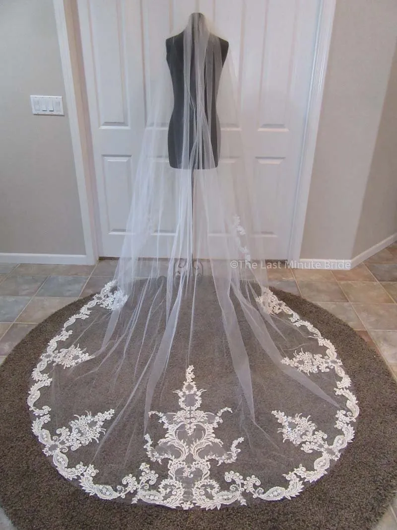 Cathedral Length Veil Style: First Look