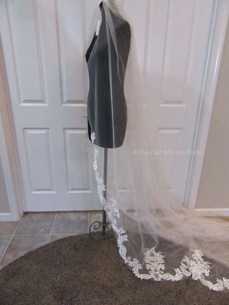 Cathedral Length Veil Style: First Look