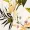 Cream Tropical Print Frill Wrap Dress With D Ring Belt