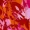 Pink And Orange Frill Detail Dipped Hem Skirt