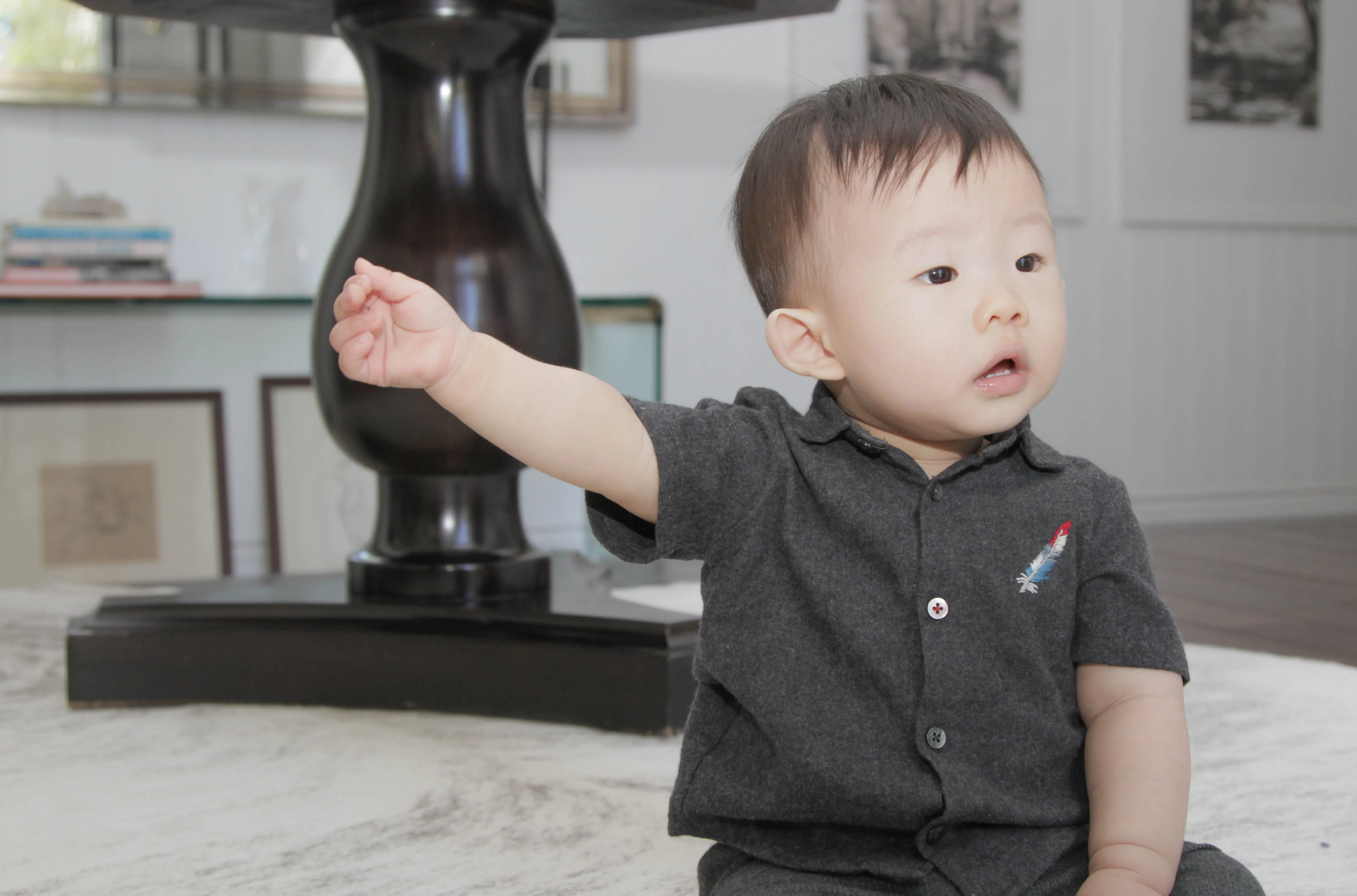 Short Sleeve Feather Shirt, Anthracite
