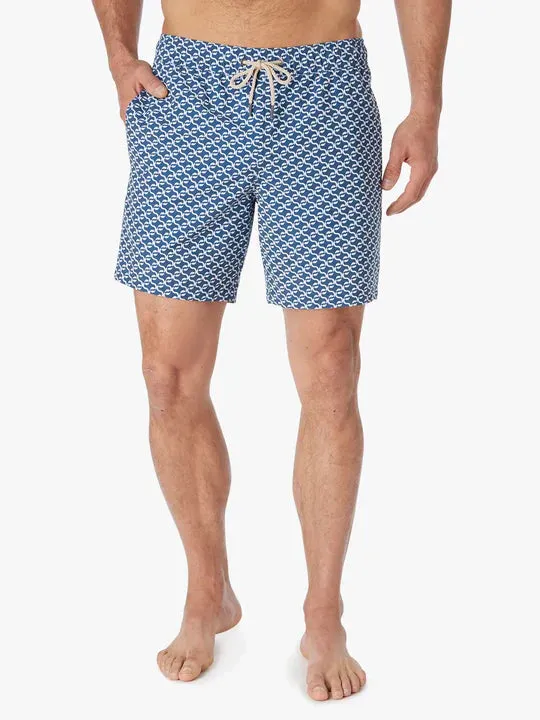 The Bayberry Trunk