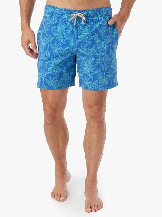 The Bayberry Trunk
